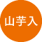 山芋入